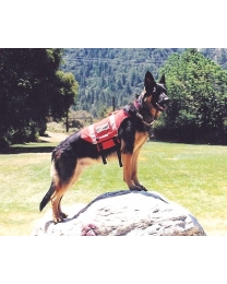 Shabrack Modified German Shepherd Rescue Dog - Ruffian Specialties 30-04-0002